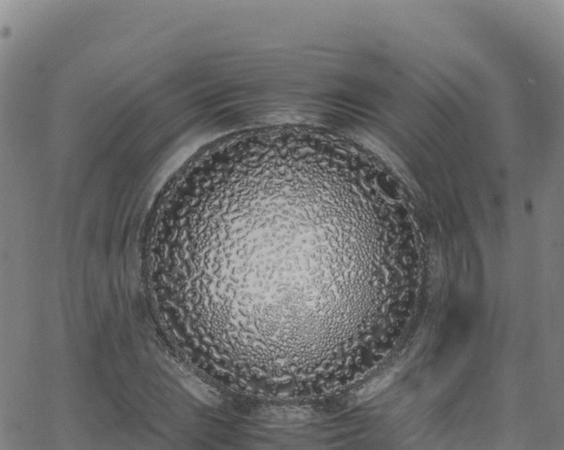 X0000062931023200601181304