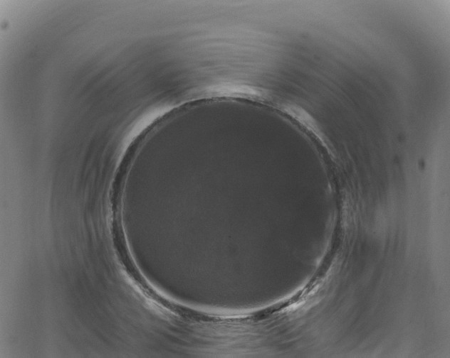 X0000062931024200601181304