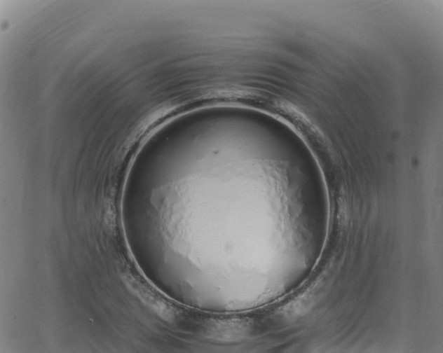 X0000062931025200601181304