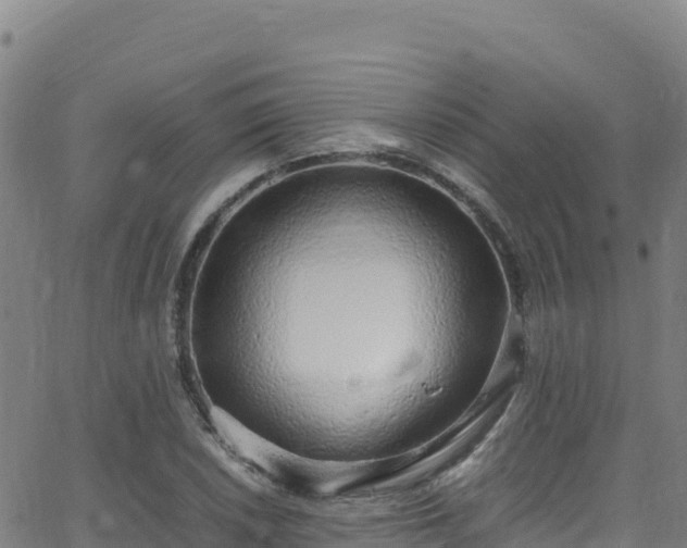 X0000062931026200601181304