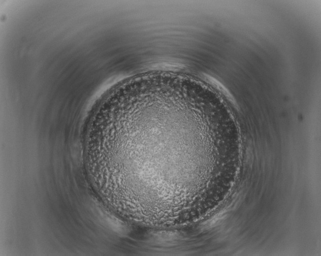 X0000062931027200601181304