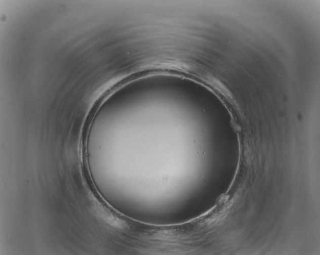 X0000062931028200601181304