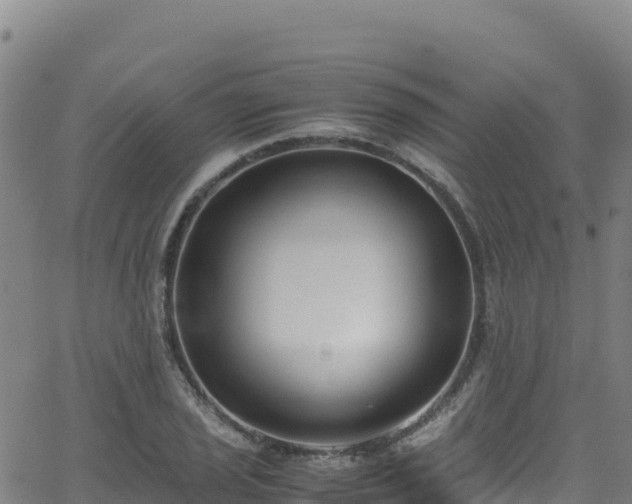 X0000062931029200601181304