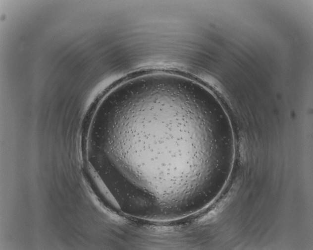 X0000062931030200601181304