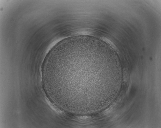 X0000062931031200601181304