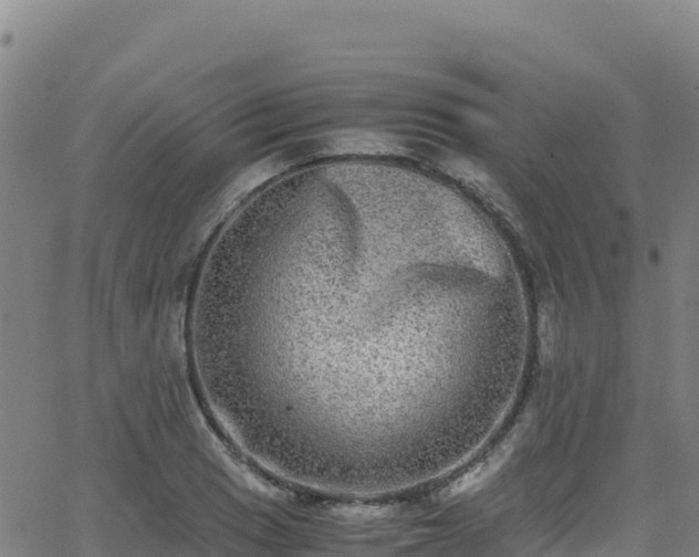 X0000062931033200601181304