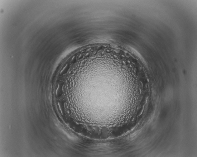 X0000062931035200601181304