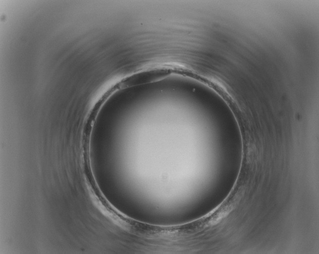 X0000062931038200601181304