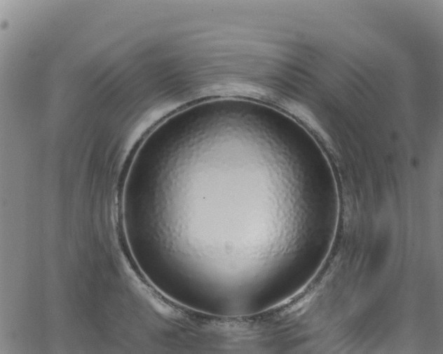 X0000062931040200601181304