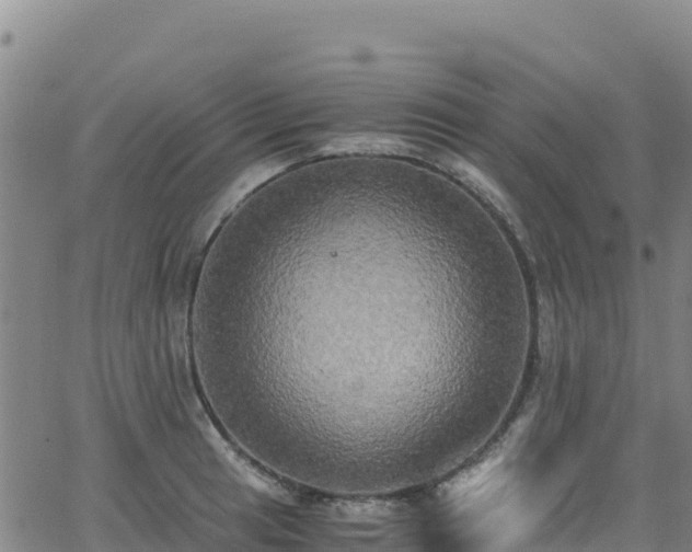 X0000062931041200601181304