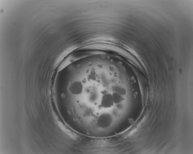 X0000062931042200601181304