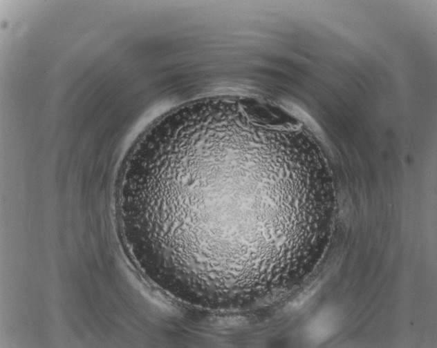 X0000062931043200601181304