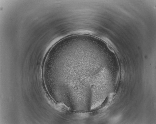 X0000062931044200601181304