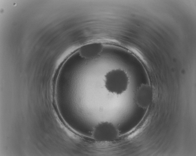 X0000062931046200601181305