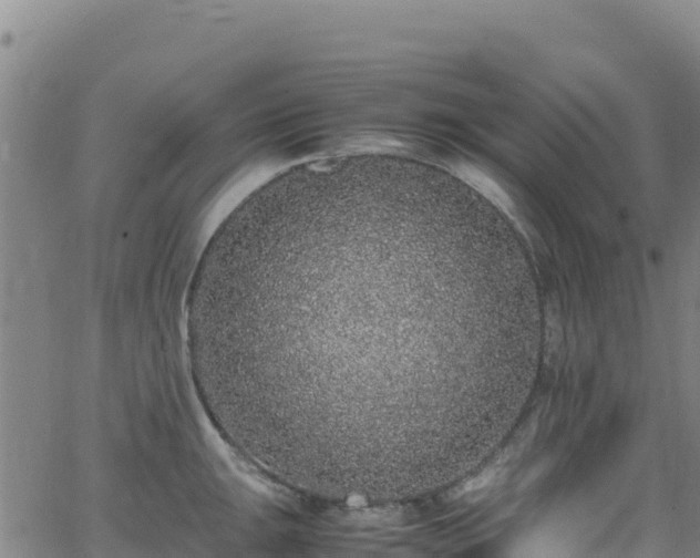 X0000062931047200601181305