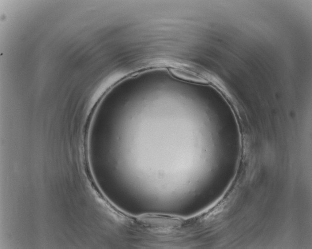 X0000062931048200601181305