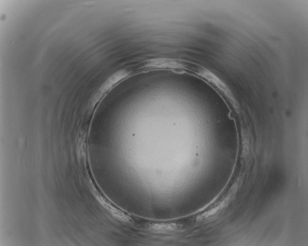 X0000062931049200601181305