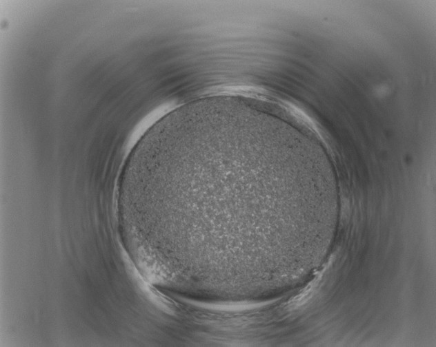 X0000062931050200601181305