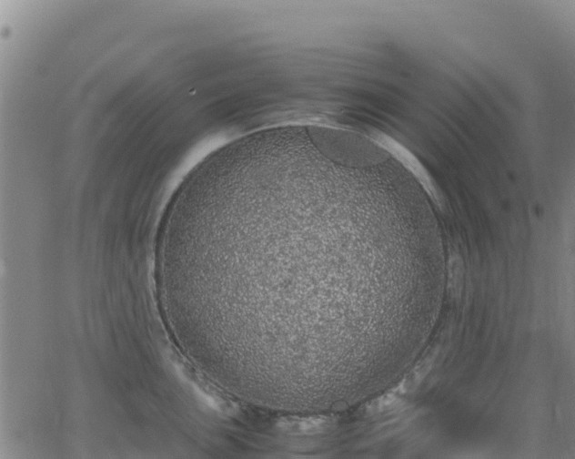 X0000062931051200601181305