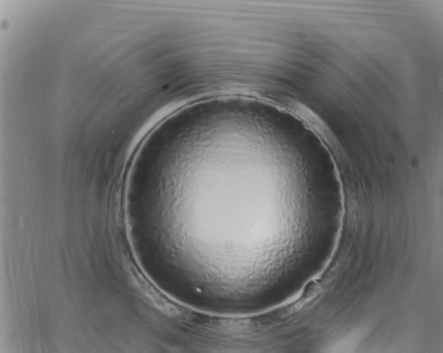 X0000062931052200601181305