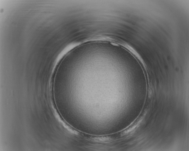 X0000062931053200601181305