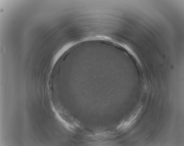 X0000062931054200601181305