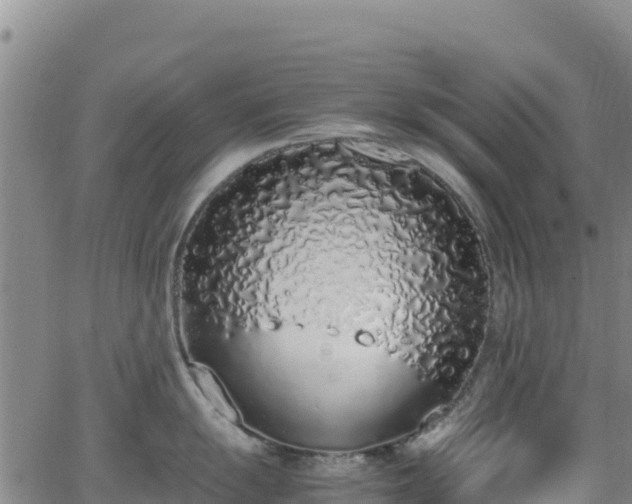 X0000062931055200601181305