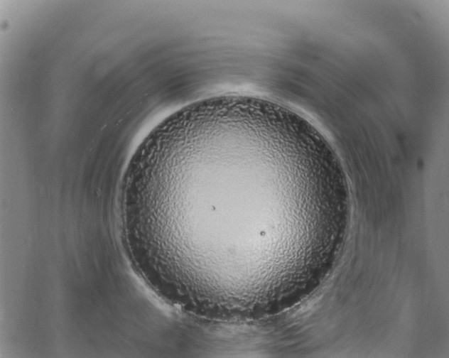 X0000062931056200601181305