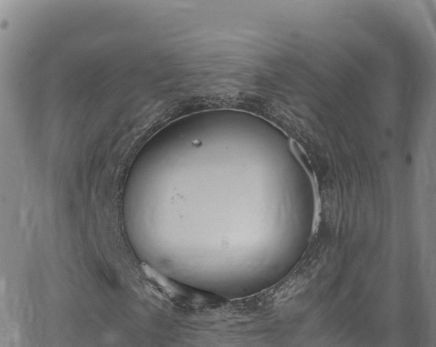 X0000062931057200601181304