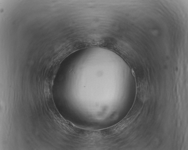 X0000062931058200601181304