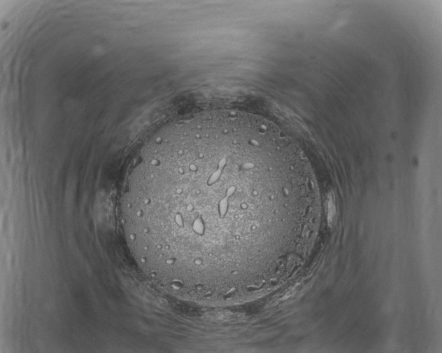 X0000062931059200601181304