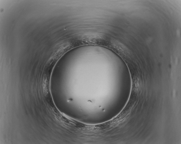 X0000062931060200601181304