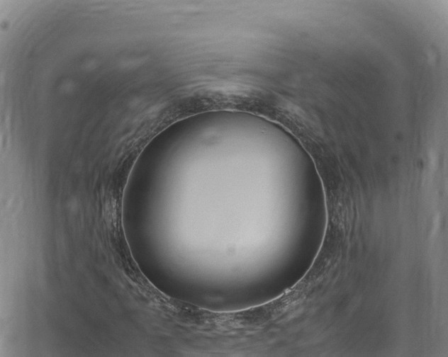 X0000062931061200601181304