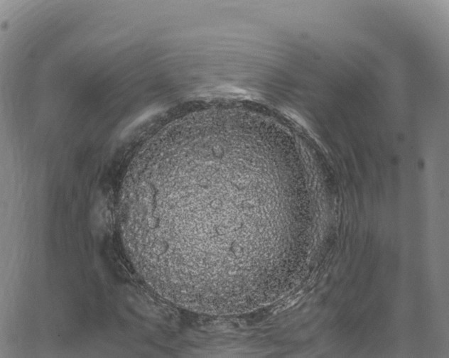 X0000062931063200601181304