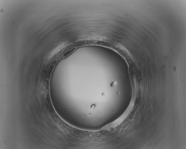 X0000062931064200601181304