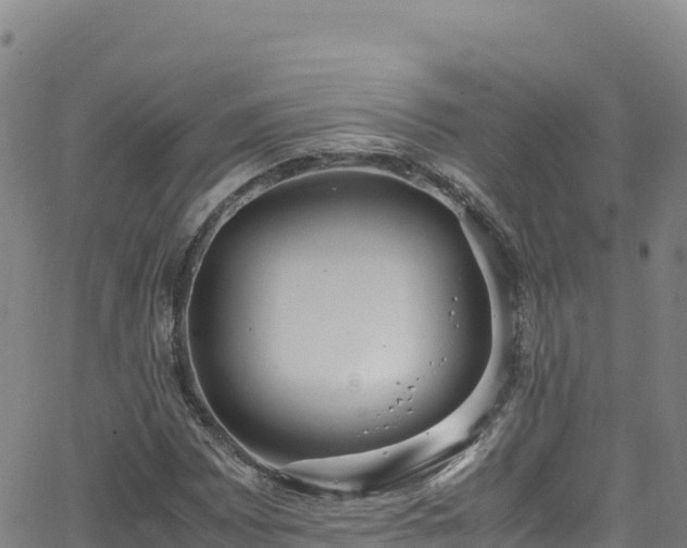 X0000062931065200601181304