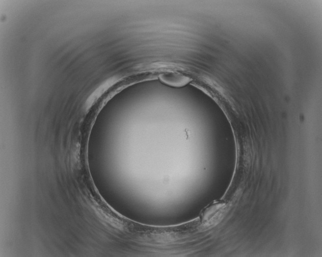 X0000062931066200601181304