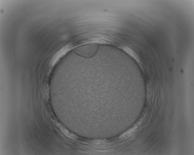 X0000062931067200601181304