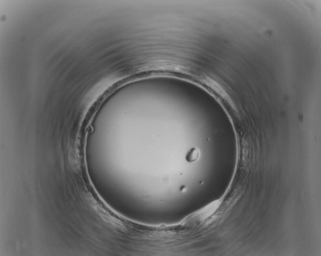 X0000062931068200601181304