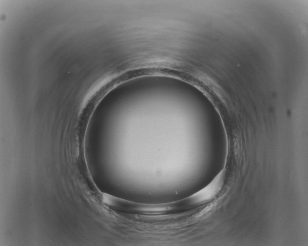 X0000062931069200601181304