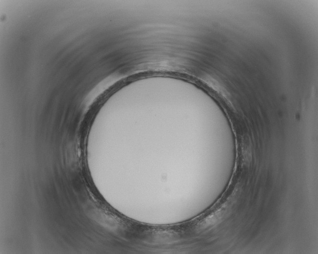 X0000062931070200601181304