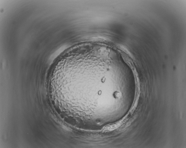 X0000062931071200601181304