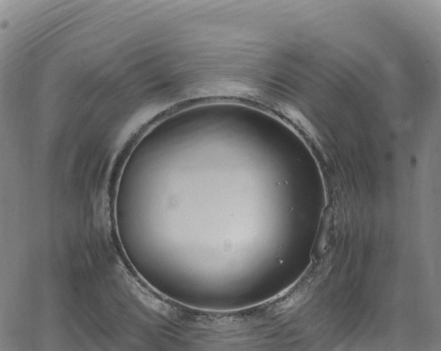 X0000062931072200601181304