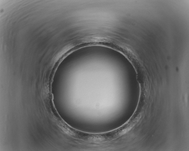 X0000062931073200601181304