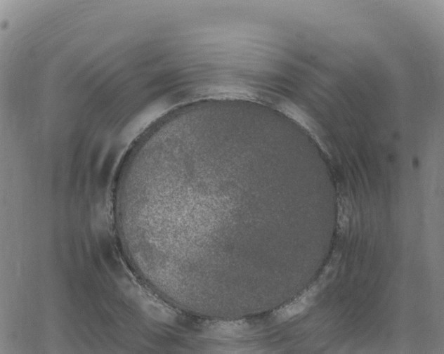 X0000062931074200601181304