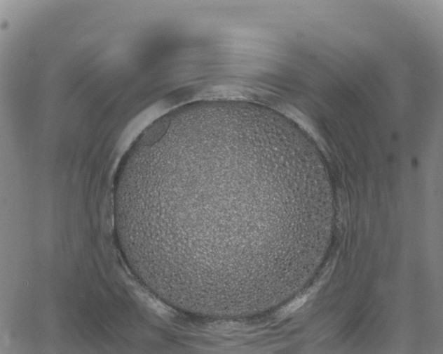 X0000062931075200601181304