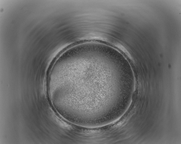 X0000062931076200601181304