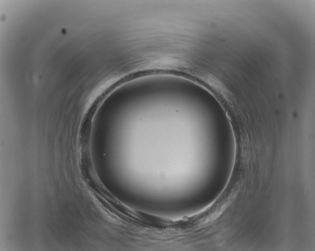 X0000062931077200601181304