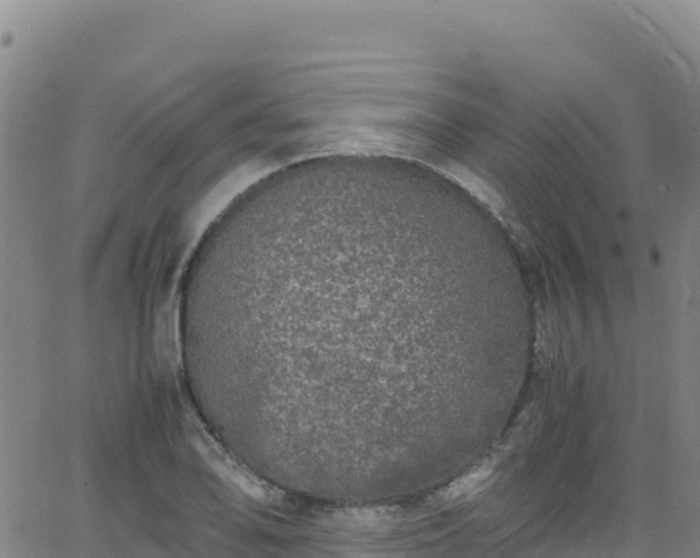 X0000062931078200601181304