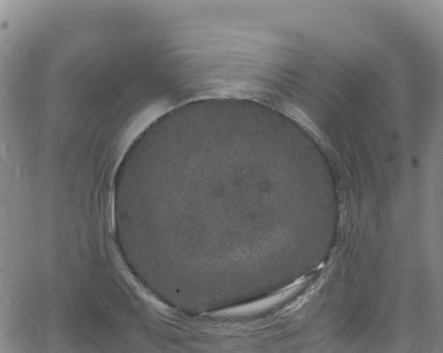 X0000062931079200601181304